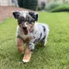 Louis - @louis.hermes_ - TikTok