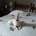 Lois Kershner - @loiskershner7 - Instagram