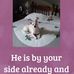 Lois Kershner - Facebook