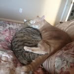 Lois Klein - @loisklein.55 - Instagram