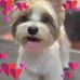 Lois Krueger - Facebook