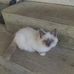 Lois Landers - Facebook
