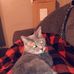 Lois Laney - Facebook