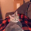 Lois Laney - @lois.laney - TikTok