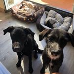 Mi vida con Lois y Lana - @lois.laneylana.lang - Instagram
