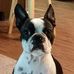 Lois Mclaughlin - Facebook