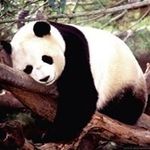 Lois Leslie - @leslois12 - Instagram
