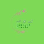 Lois Loch - @alforeverplants - Instagram