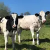 lois_lockett - @lois_lockett - TikTok
