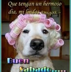Lois Mackenzie - Facebook