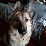 Lois MacKenzie - @lois.mackenzie.12 - Instagram
