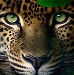 Lois Magee - Facebook