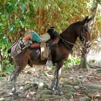 Lois Manuel Chacon - Facebook