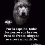 Lois Manuel Fernández López - @fernandezlopezloismanuel - Instagram