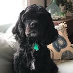 Lois Chisholm Marks - @lois.marks.16 - Instagram