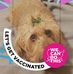 Lois Mathews - Facebook