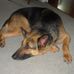 Lois Mathews - Facebook