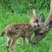 Lois Mathews Ginter - Facebook
