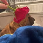 @_loismccann - Instagram