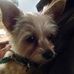 Lois Mize - Facebook