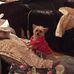 Lois Mize - Facebook