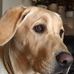 Lois Himsel-Nash - Facebook