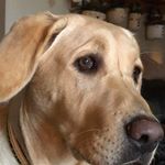 Lois Himsel-Nash - @himselnash - Instagram