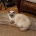 Lois Norton - Facebook