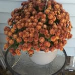 Lois ODonnell - Facebook