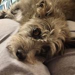 Lois Olson - @olson.lois.a - Instagram