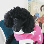 @loisorchard19 - Instagram