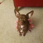 Lois Owens - @lois.owens.330 - Instagram