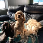 Lois Parr - @lois.parr.9 - Instagram