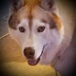 Lois Parr - @lois.parr.98 - Instagram