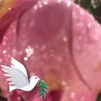 Lois Parrish - Facebook