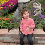 Lois Peck Elhilow - @loiselhilow - Instagram