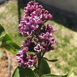 Loïs Peckre - @loispeckre - Instagram