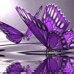 Lois Pell - @lpell282 - Instagram