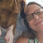 Lois Perkins - @kemperlois - Instagram