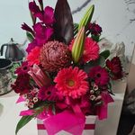 Lois Pike - @lois.pike.5 - Instagram