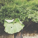Lois Plummer - @cozybracebing - Instagram