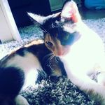 loïs - @loispoland_16 - Instagram