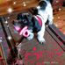 Lois Pollard - Facebook