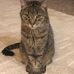 Lois Pringle - Facebook