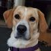 Lois Pryor - Facebook