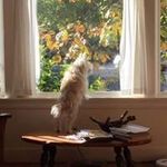 Lois Quick - @loisvite - Instagram