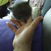 Lois Raines - Facebook