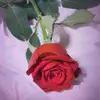 Angel6815 - @loisrichards7 - TikTok