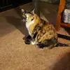 loisricks0 - @lois.ricks - TikTok