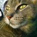 Lois Rock - Facebook